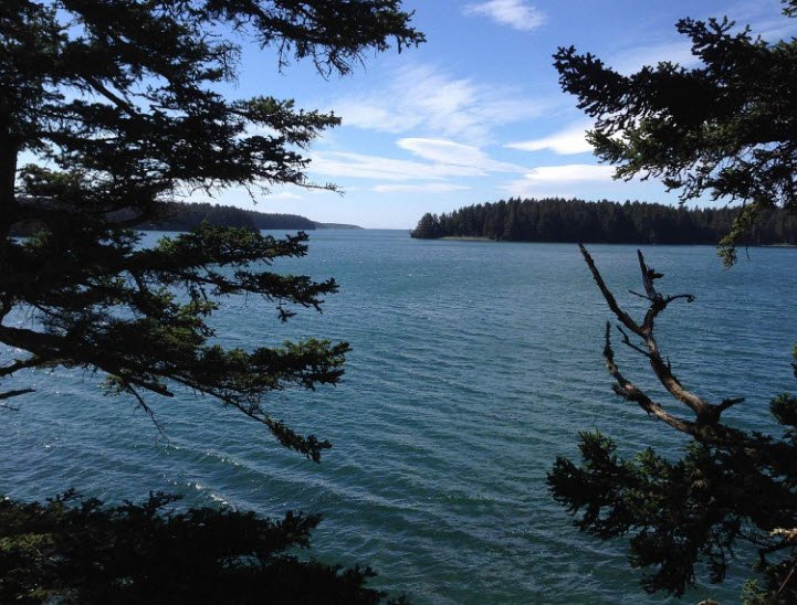 Shuyak Island State Park, Alaska, USA